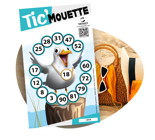 TIC mouette