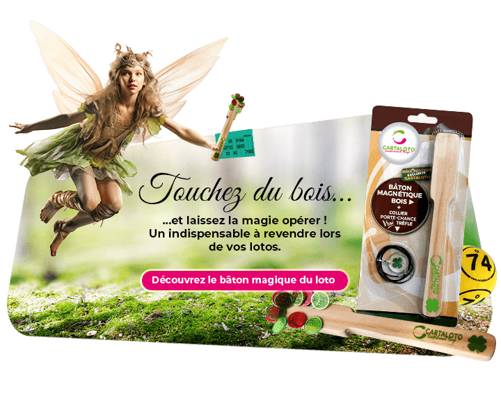 BATON MAGNETIQUE EN BOIS