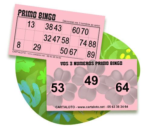 primo bingo