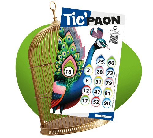 tic paon