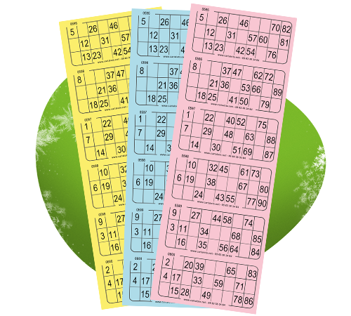 piccolo loto 