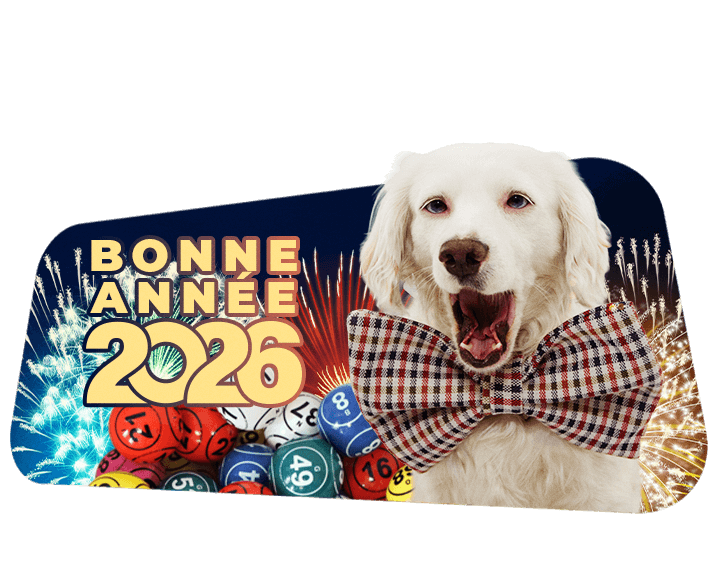 Bonne année