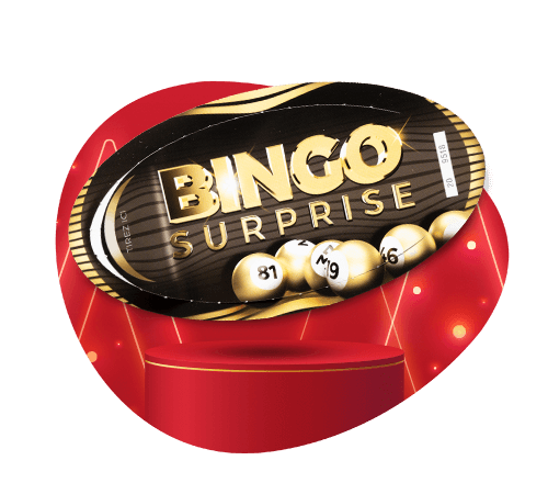 bingo surprise