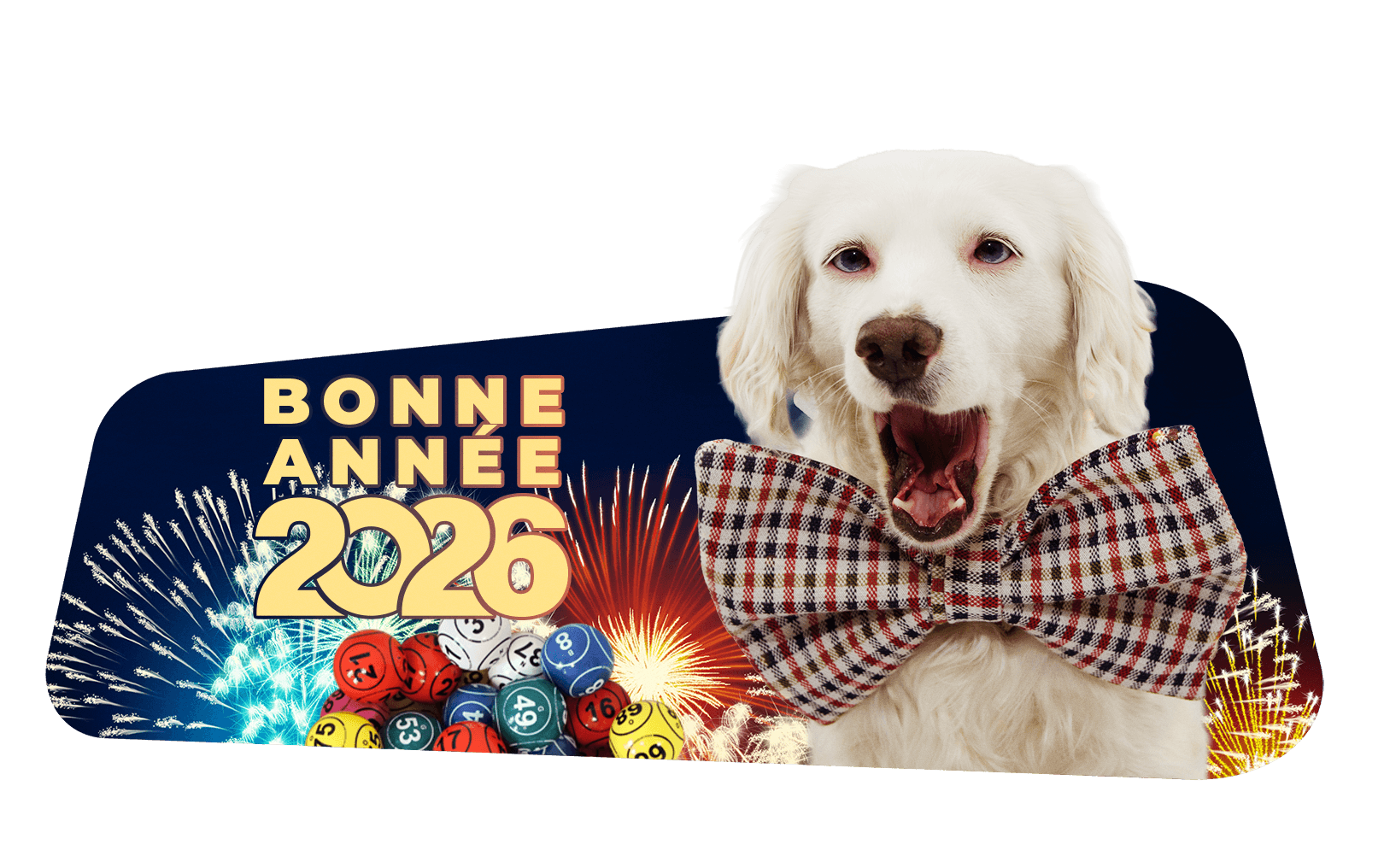 Bonne année